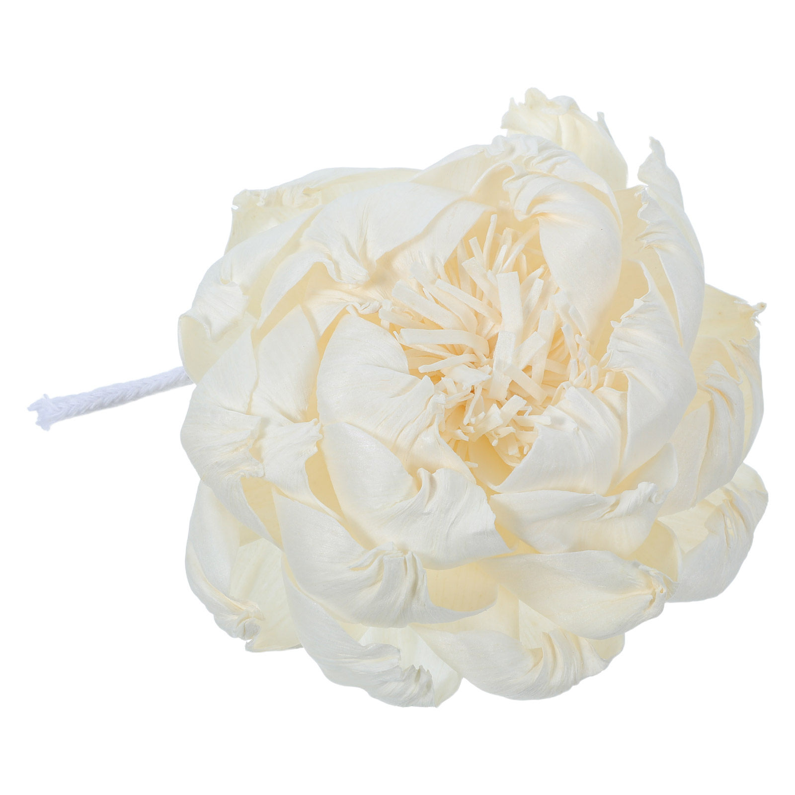 Şakayık Başlı Koku Difüzörü 12 - Home Fragrance And Diffuser incelemesi ve fiyatı